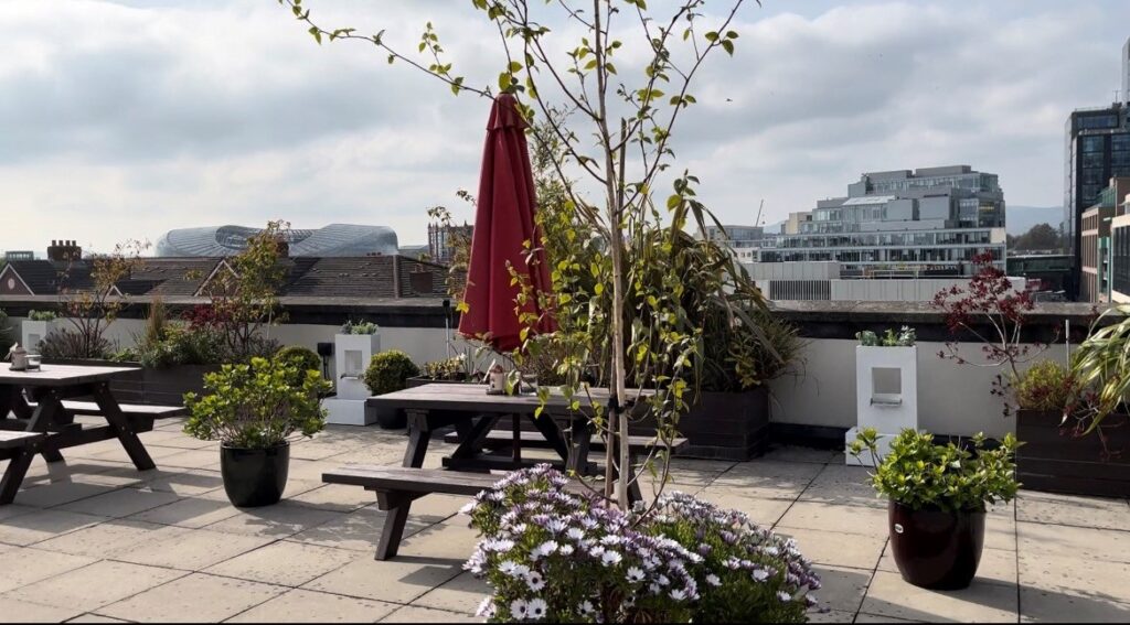 Roof Garden The Waterside